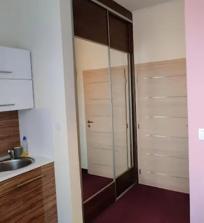 Brasna 3-kupalisko Apartment *