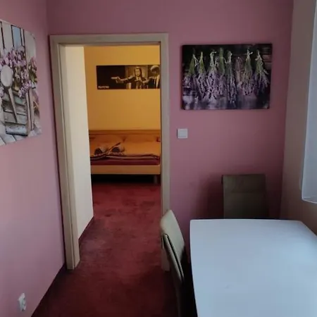 Brasna 3-kupalisko Apartment *